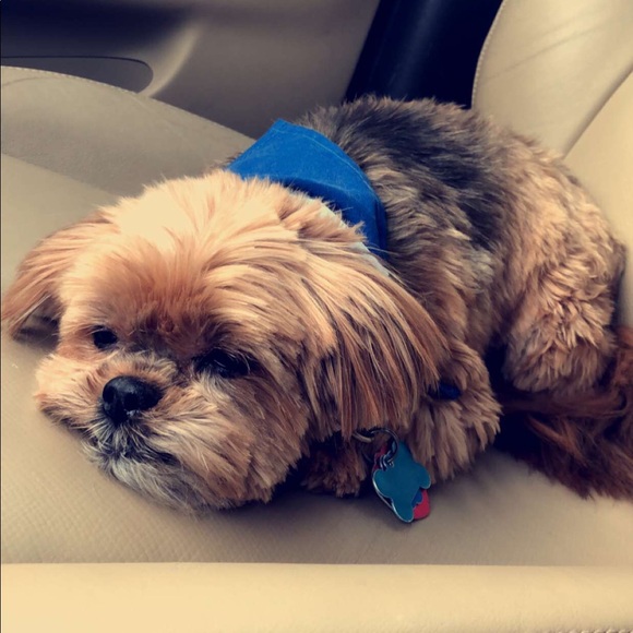 Meet your Posher, Kelsy - Picture 1 of 1